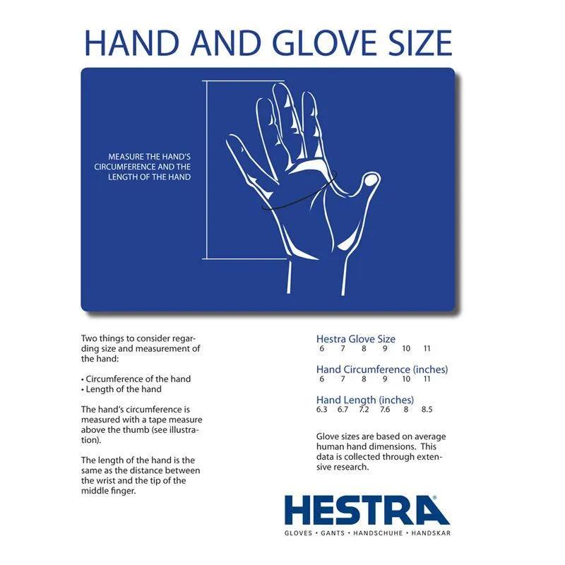 Hestra Silk Glove Liner - Touchscreen Compatible