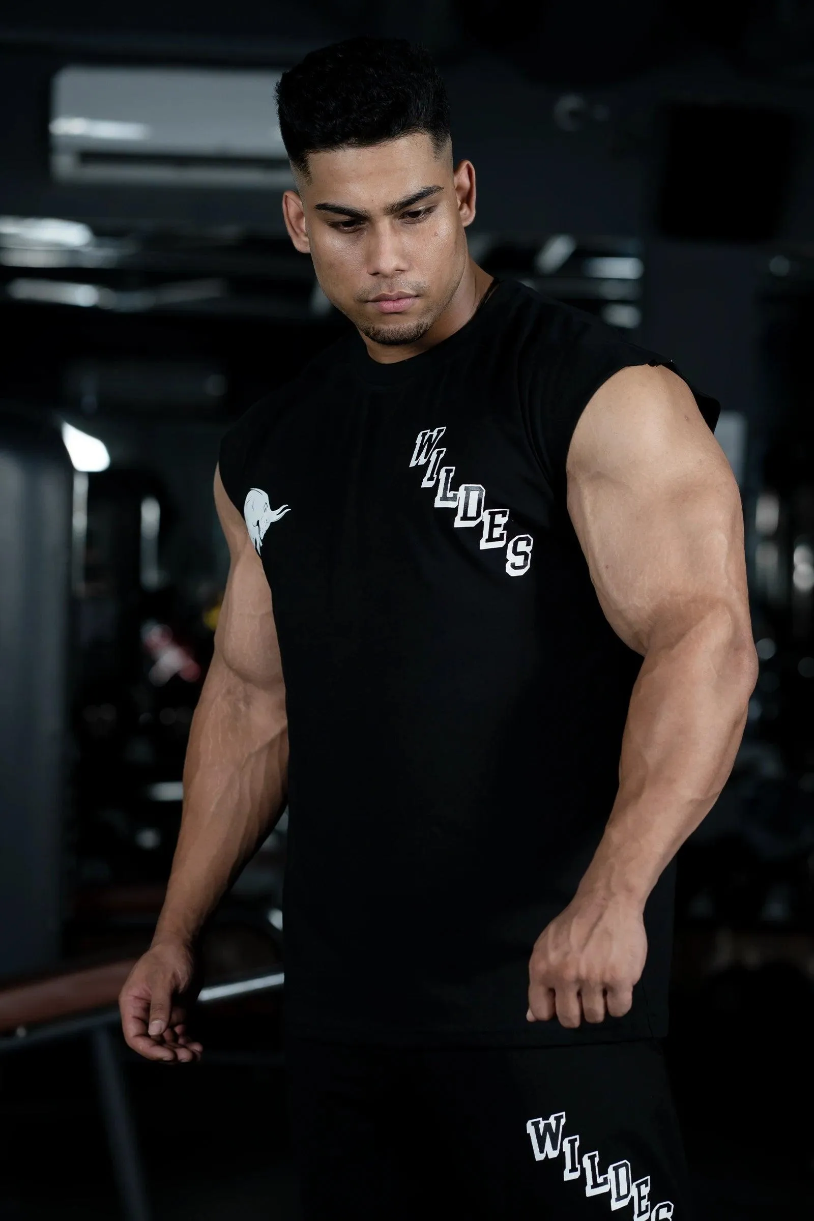 JOURNEY WILDES MUSCLE TEE (BLACK)