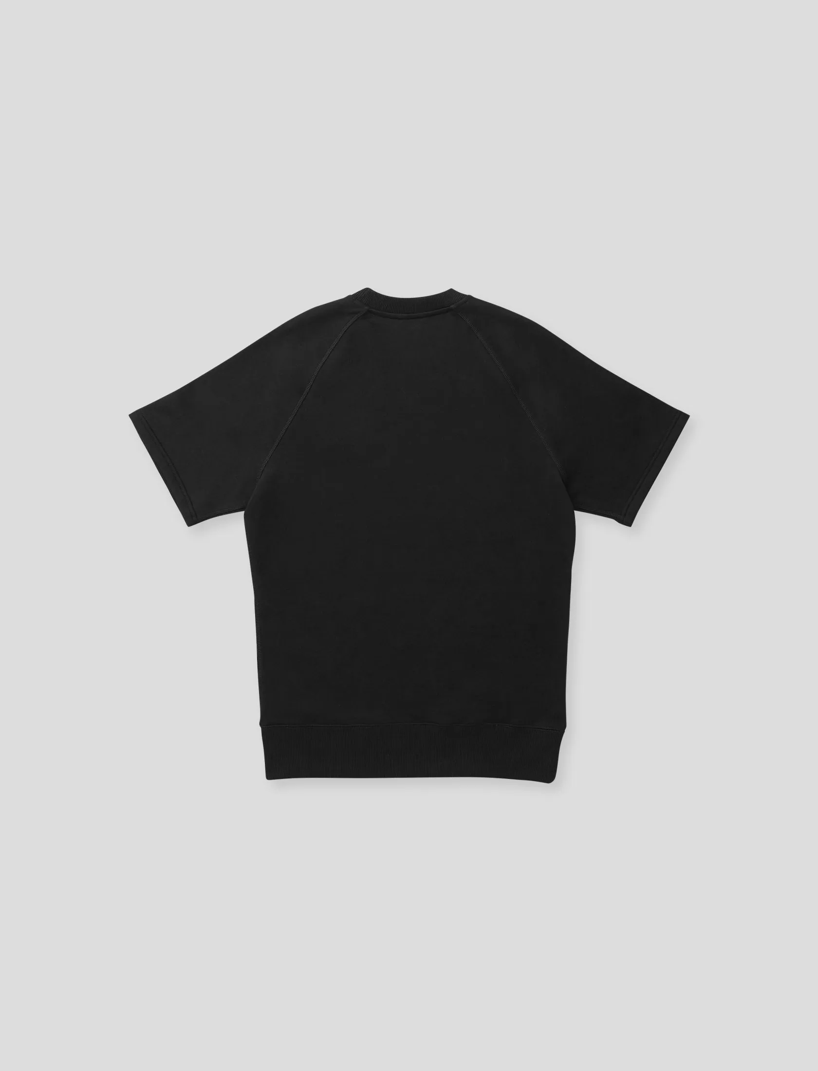 Men's French Terry Short Sleeve Raglan