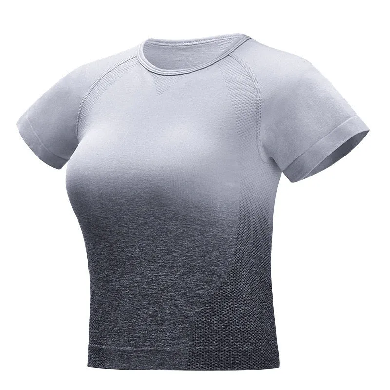 Ombre Seamless Short Sleeve Set