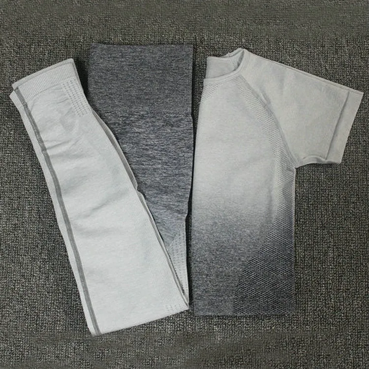 Ombre Seamless Short Sleeve Set